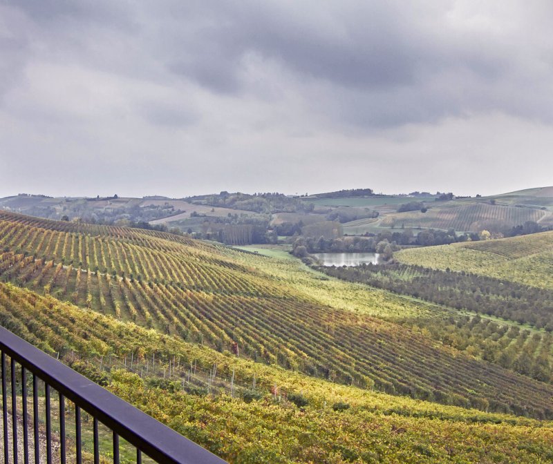 The Barbera of Ian D’Agata