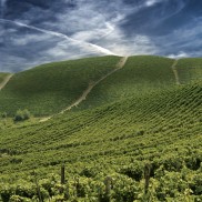 Castiglione Tinella - Langhe