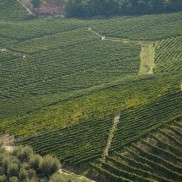 Castiglione Tinella - Langhe