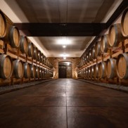Castagnole Monferrato - Monferrato