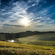 Castagnole Monferrato - Monferrato