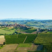 Castagnole Monferrato - Monferrato