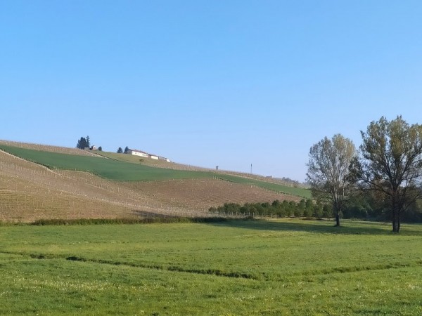 8-e-9-tartufaia.jpg